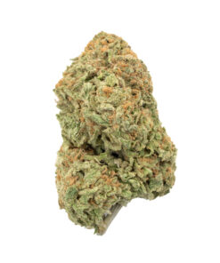Durban Poison Seeds