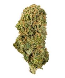 Pineapple Skunk