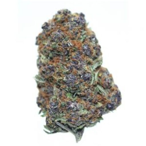 purple urkle seeds