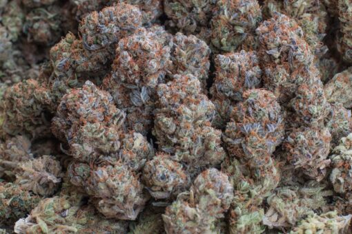 buy Durban Poison