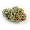 Original Glue Strain