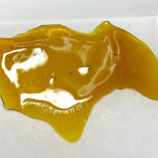 King Louis Shatter XIII