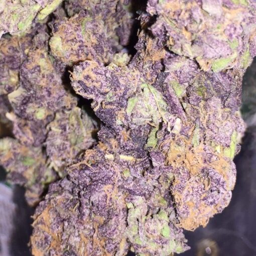 purple Haze1